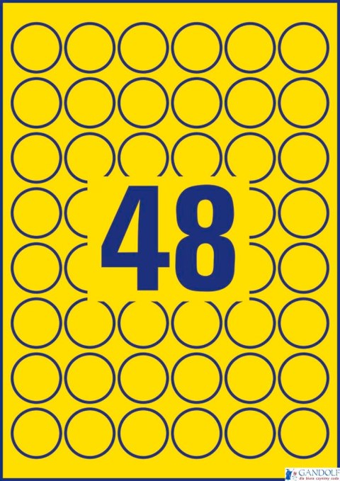 Etykiety Heavy Duty L6128-20 Q30 żółte 20 ark. poliestrowe Avery Zweckform