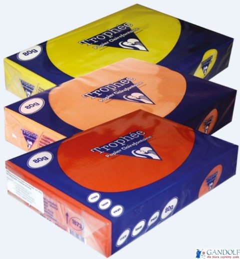 Papier xero A4 80g TROPHEE gołębi XCA41971 CLAIREFONTAINE Papier xero A4 80g TROPHEE gołębi XCA41971 CLAIREFONTAINE