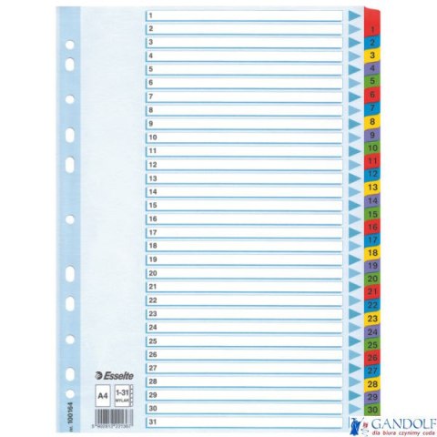 Przekładki kartonowe MYLAR A4 1-31 100164 białe ESSELTE Przekładki kartonowe MYLAR A4 1-31 100164 białe ESSELTE
