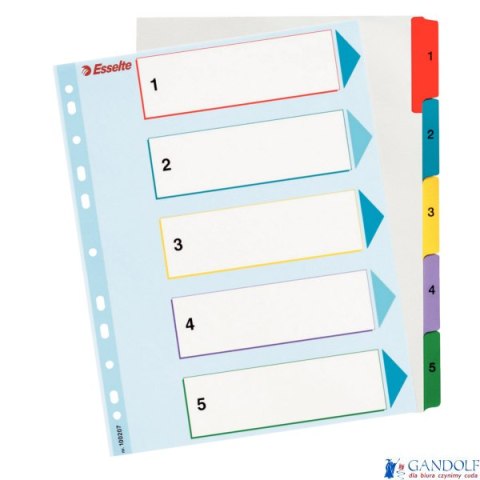 Przekładki kartonowe MYLAR A4 MAXI 1-5 ESSELTE 100207 Przekładki kartonowe MYLAR A4 MAXI 1-5 ESSELTE 100207