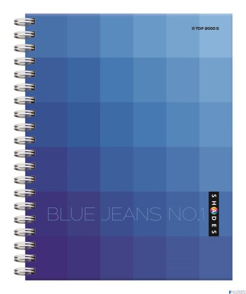 Kołonotatnik A4 160 kartek, kratka z marginesem, SHADES, TOP 2000, 400124633