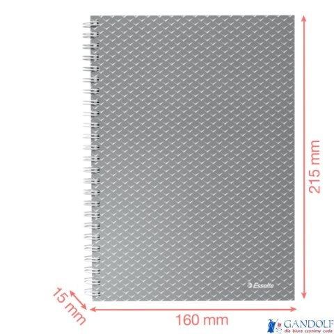 Kołonotatnik ColourBreeze A5, w kratkę, niebieski Esselte 628466