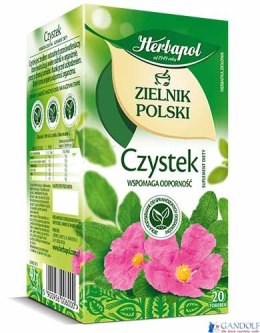 Herbata HERBAPOL ZIELNIK POLSKI Czystek (20 torebek)