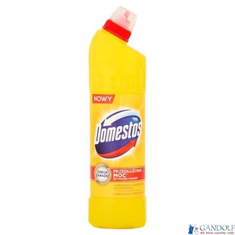 DOMESTOS Płyn do WC 1l CITRUS 30205