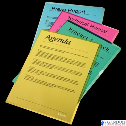 Ofertówki groszkowe A4 Esselte, 115 mikronów, przezroczyste, 100 sztuk, 54832