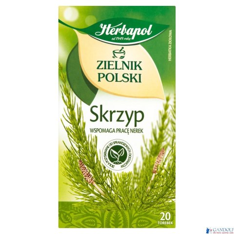 Herbata HERBAPOL ZIELNIK POLSKI Skrzyp (20 torebek) Herbata HERBAPOL ZIELNIK POLSKI Skrzyp (20 torebek)