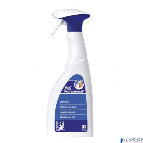 MR.PROPER Professional Spray do czyszczenia szkła 750ml 1001003997