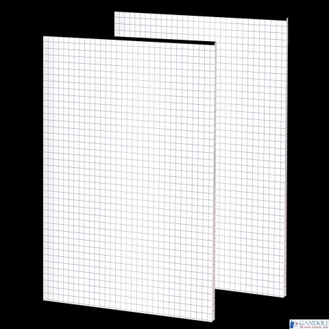 Notatnik TOPCOLORS ZSZ BO A5 50K 70G kratka MPRF 400169243 Top 2000