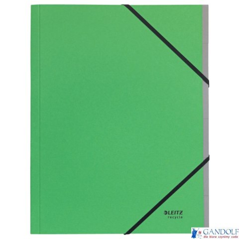 Teczka z 6 przekładkami Leitz Recycle A4, ziel 39140055