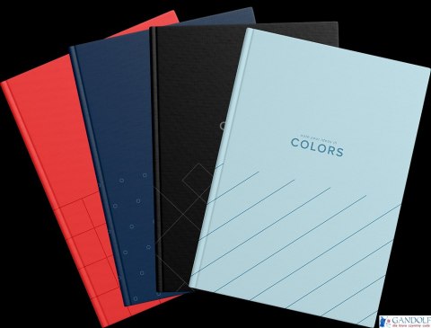 Brulnion TOP COLORS szyty A5 96K 70G kratka mix 400169191 Top 2000