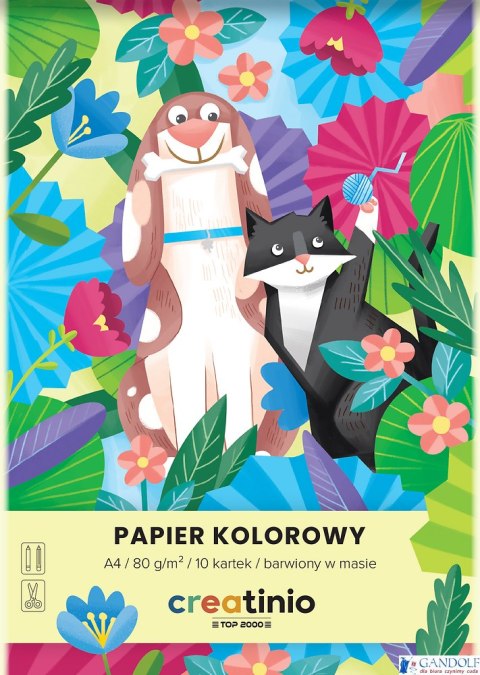 Papier kolorowy Top 2000 Creatinio A3 10 kartek 80 g 400176685