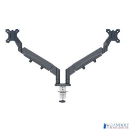 Podwójne ramię Leitz Ergo do monitora, ciemnoszare 65370089