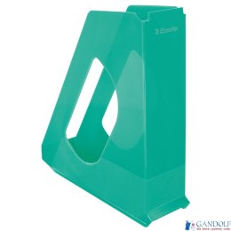 Pojemnik na dokumenty COLOURICE zielony ESSELTE 626280