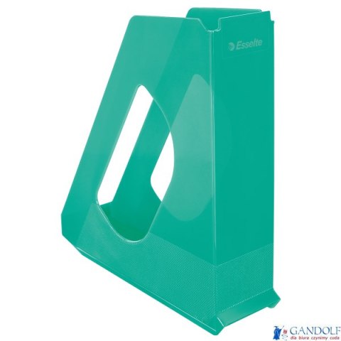 Pojemnik na dokumenty COLOURICE zielony ESSELTE 626280