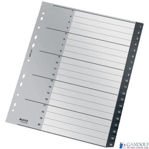 Przekładki Recycle 1 - 20, A4, PP, czarne Leitz, 12110000