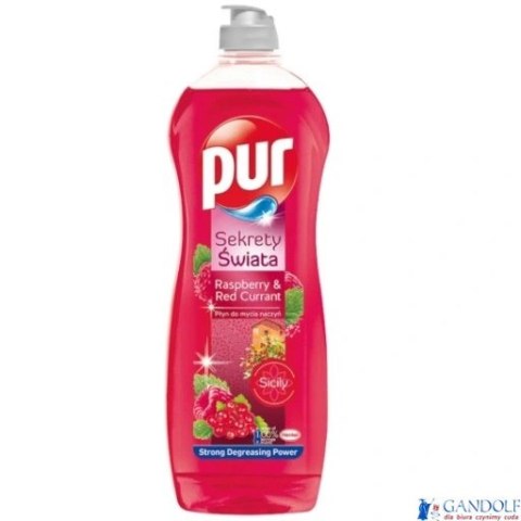 PUR Płyn do mycia naczyń 750 ml Malina i Porzeczka 57684 PUR Płyn do mycia naczyń 750 ml Malina i Porzeczka 57684