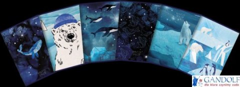 Zeszyt_TOP 2000 WINTER SAILOR 95x148 32k 70g mix kratka 400157944