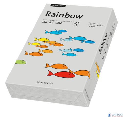 Papier xero kolorowy A4 160g 250 ark. RAINBOW R96 szary 88042813