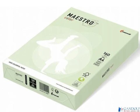Papier xero MAESTRO COLOR A4 160g 250 ark. GN27 j.zieleń pastel