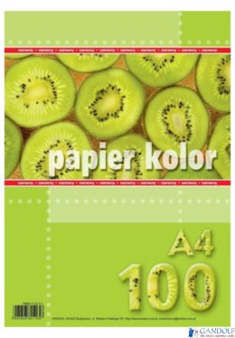 Papier xero A4 czerwony (100 arkuszy) KRESKA.