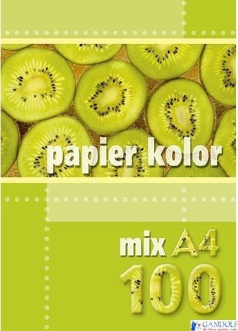 Papier xero A4 mix kolorów 160g (100 arkuszy) KRESKA.