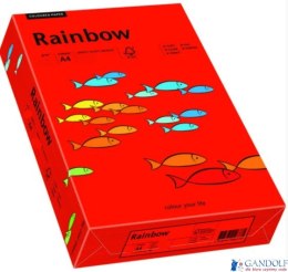 Papier xero kolorowy A4 160g 250 ark. RAINBOW R28 ciemnoczerwony 88042483