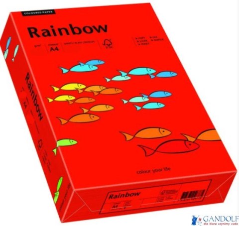 Papier xero kolorowy A4 160g 250 ark. RAINBOW R28 ciemnoczerwony 88042483