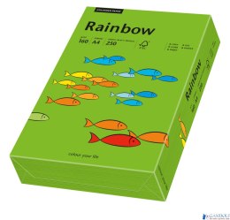Papier xero kolorowy A4 80g 500 ark. RAINBOW R78 ciemnozielony 88042681