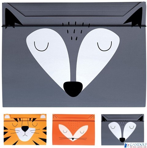 Teczka z gumką A4+ BeBe FRIENDS BOYS mix 3 wzorów INTERDRUK