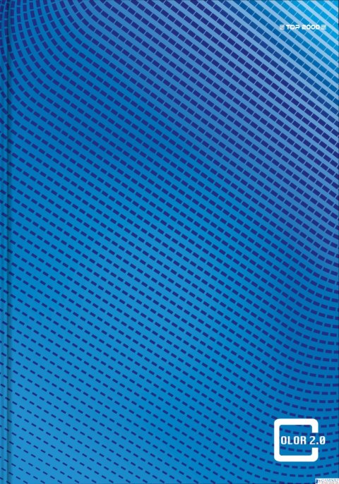 Brulion A5 96 kartek, COLOR 2.0 kratka z marginesem TOP 2000 400133375 Brulion A5 96 kartek, COLOR 2.0 kratka z marginesem TOP 2000 400133375