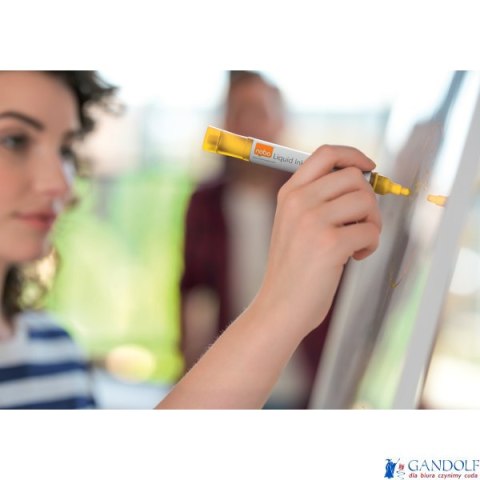 Markery Liquid Ink, różne kolory, 10 szt 1915381 NOBO