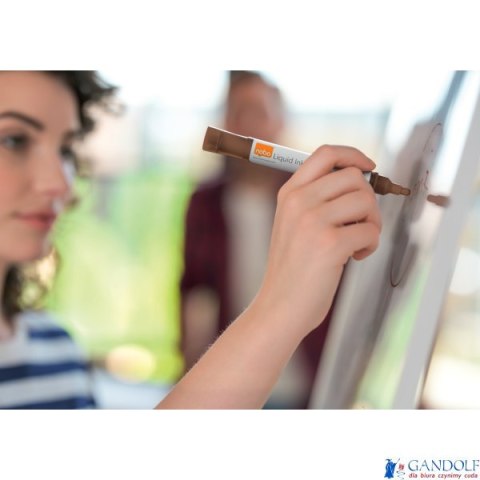 Markery Liquid Ink, różne kolory, 10 szt 1915381 NOBO