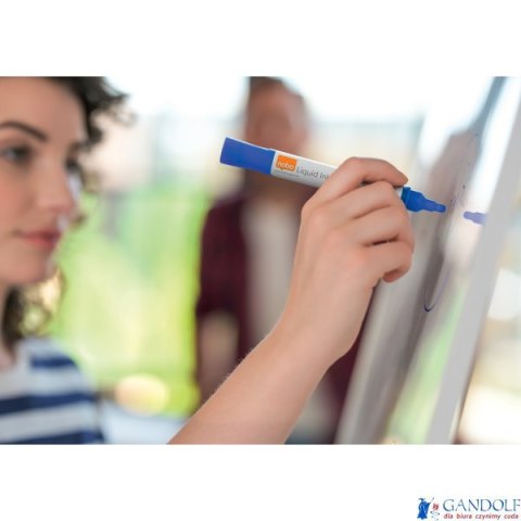 Markery Liquid Ink, różne kolory, 10 szt 1915381 NOBO