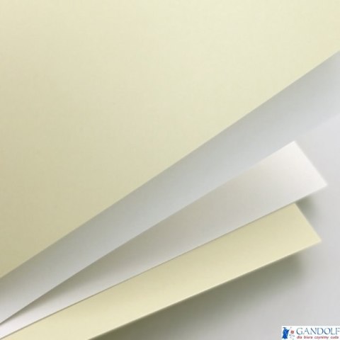 Karton ozdobny Gładki biały 250g A4 20ark. 202801 GALERIA PAPIERU Karton ozdobny Gładki biały 250g A4 20ark. 202801 GALERIA PAPIERU