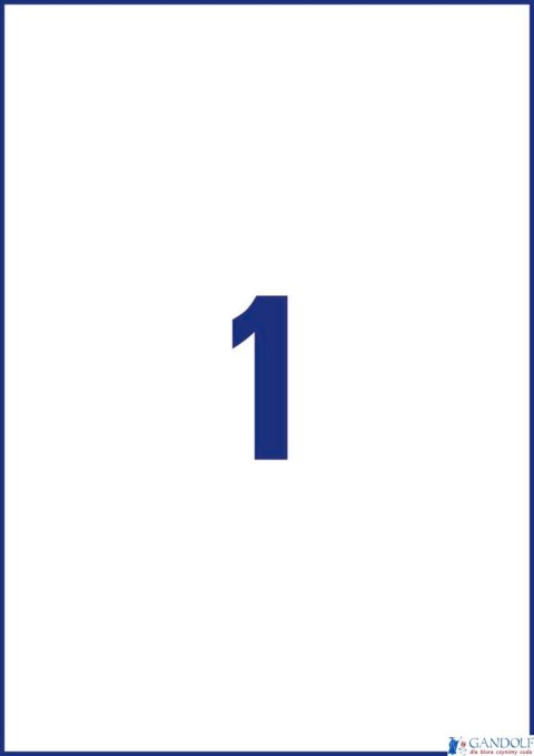 Etykiety uniwersalne L4735REV-25 210x297 30 ark Usuwalne Avery Zweckform