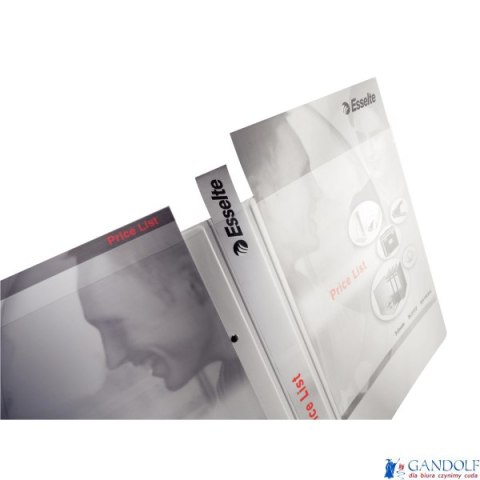 Segregator PANORAMA A4+ 4DR/20 37mm biały ofertowy LEITZ 42830001 Segregator PANORAMA A4+ 4DR/20 37mm biały ofertowy LEITZ 42830001