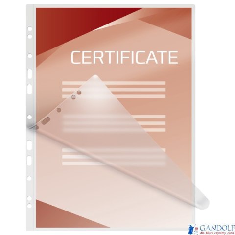 Folia do laminacji GBC A4+ z perforacją 125 mikr (100szt) 3743156