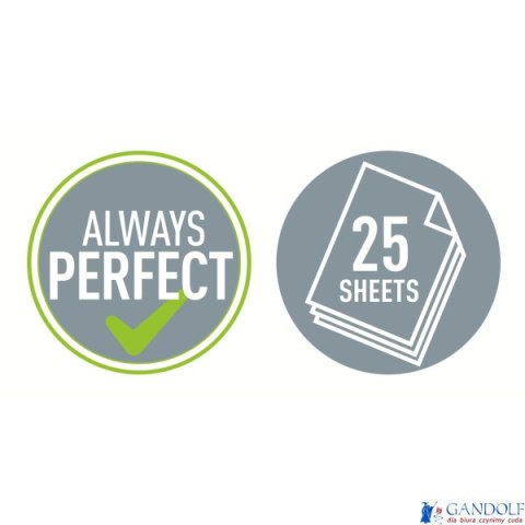 Dziurkacz duży 5005 LEITZ czerwony 25 kartek 50050025