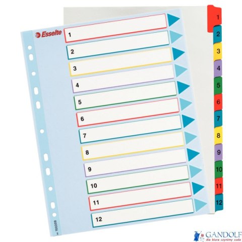 Przekładki kartonowe MYLAR A4 MAXI 1-12 ESSELTE 100209