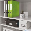 Segregator z mechanizmem WOW Leitz 180, A4/50mm, zielony 10060054