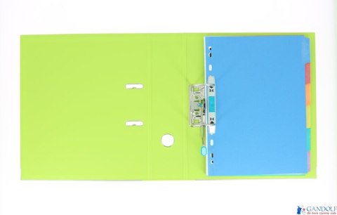 Segregator A4 80mm ELBA PRO+ jasnozielony 100202175