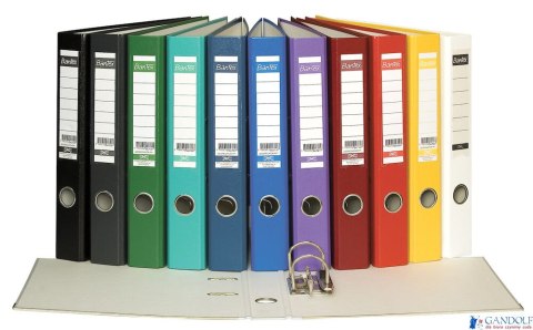Segregator A4 50mm czarny, z szyną BANTEX 100551801 Segregator A4 50mm czarny, z szyną BANTEX 100551801