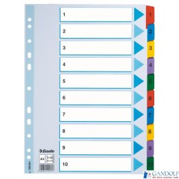 Przekładki kartonowe MYLAR A4 1-10 100161 białe ESSELTE