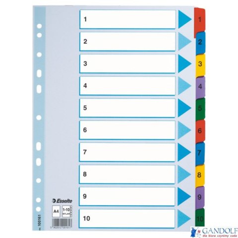 Przekładki kartonowe MYLAR A4 1-10 100161 białe ESSELTE Przekładki kartonowe MYLAR A4 1-10 100161 białe ESSELTE