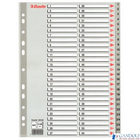 Przekładki plastikowe numeryczne A4 1-54 szare ESSELTE 100109