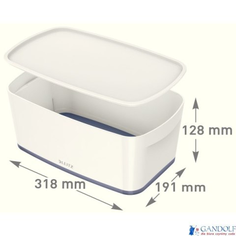 Pojemnik MyBox mały z pokrywką, biało-zielony 52291054 (X) Pojemnik MyBox mały z pokrywką, biało-zielony 52291054 (X)