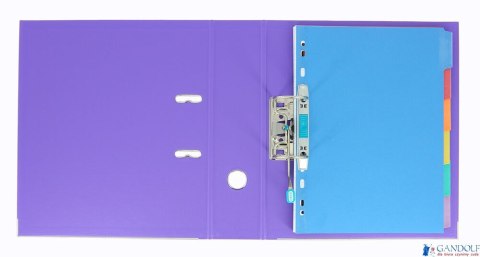 Segregator A4 80mm ELBA PRO+ fioletowy 100202167