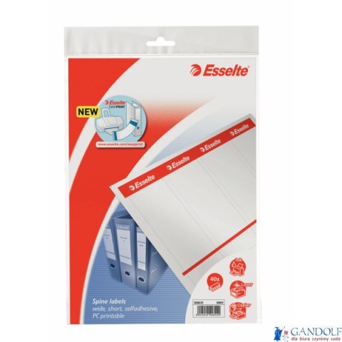 Etykiety do segregatorów 59x192mm(10x4) białe samop. ESSELTE 20822 Etykiety do segregatorów 59x192mm(10x4) białe samop. ESSELTE 20822