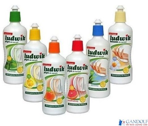 LUDWIK Płyn do mycia naczyń 450g brzoskwiniowy z lanoliną 28249 LUDWIK Płyn do mycia naczyń 450g brzoskwiniowy z lanoliną 28249