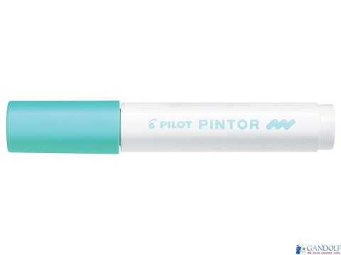 Marker PINTOR M pastelowy zielony PISW-PT-M-PG PILOT (X)